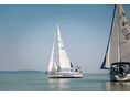 BAVARIA 31