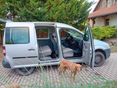 VOLKSWAGEN CADDY 2006/8 - 3