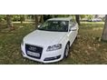 AUDI A3 2012/3 - 1