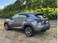 LEXUS NX 2017/10 - 4