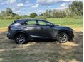 LEXUS NX 2017/10 - 6