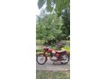 PANNONIA T1 1963/4 - 2