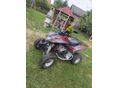DINLI EGYÉB Trasher 450 (Quadzilla)