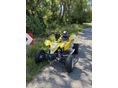 SUZUKI LT-R 450 2011/8 - 3