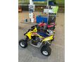 SUZUKI LT-R 450 2011/8 - 7