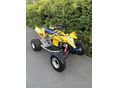 SUZUKI LT-R 450 2011/8 - 9