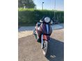 PIAGGIO BEVERLY 500 2003/8 - 4