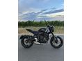 TRIUMPH TRIDENT 2022/9 - 2
