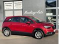 OPEL CROSSLAND X 2020/5 - 4