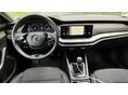 SKODA OCTAVIA 2021/12 - 8