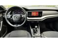 SKODA OCTAVIA 2021/12 - 9