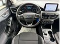 FORD FOCUS 2022/3 - 8