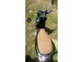 VESPA PRIMAVERA 125 3V 2018 - 3