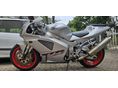 HONDA VTR 1000 SP-1 2001 - 8