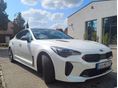 KIA STINGER 2.0 T-GDI EX (Automata)