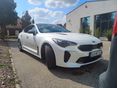 KIA STINGER 2019/11 - 3