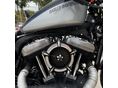 HARLEY-DAVIDSON SPORTSTER 2013/1 - 3