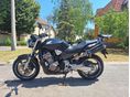 HONDA CB 900 F (HORNET) 