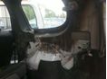 DACIA LODGY 2013 - 10