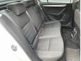 SKODA OCTAVIA 2017/5 - 18