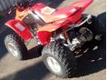 HONDA TRX 250 EX 2006/12 - 5