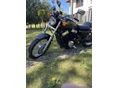 HONDA VT 750 VT750S Shadow