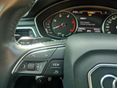 AUDI A4 2019/2 - 21