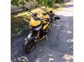 TRIUMPH STREET TRIPLE 2024/6 - 3