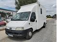 PEUGEOT BOXER 2.8 HDI Lószállító
