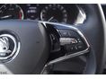 SKODA OCTAVIA 2023/6 - 14