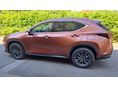 LEXUS NX 350h Executive CVT