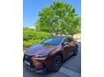 LEXUS NX 2024/12 - 2