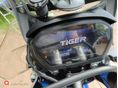 TRIUMPH TIGER 800 2018/7 - 2
