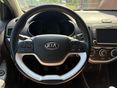 KIA PICANTO 2015/10 - 5