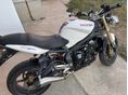 TRIUMPH STREET TRIPLE 675 2010/3 - 3