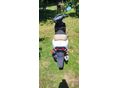HONDA SFX 50 