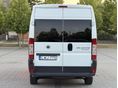 FIAT 2011/6 - 23
