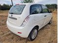 LANCIA YPSILON 2009/10 - 4