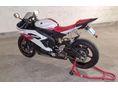 YAMAHA YZF R6 R 2008 - 6