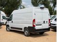 FIAT DUCATO 2026 - 7