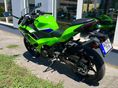 KAWASAKI NINJA 500 2026 - 3