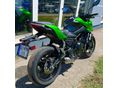 KAWASAKI Z 650 2026 - 2
