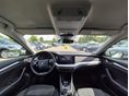 SKODA OCTAVIA 2021/3 - 10