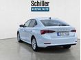 SKODA OCTAVIA 2021/3 - 3