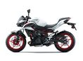 KAWASAKI Z 500 2026 - 4