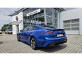 KIA STINGER 2018/8 - 5