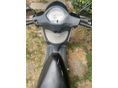 PIAGGIO LIBERTY 50 2006 - 6