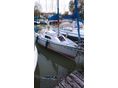 BALATON 19