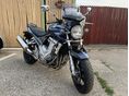 SUZUKI GSF 1250 (BANDIT) 2007/8 - 2
