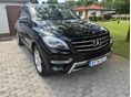 MERCEDES-BENZ ML 250 BlueTEC (Automata) AMG Packet!